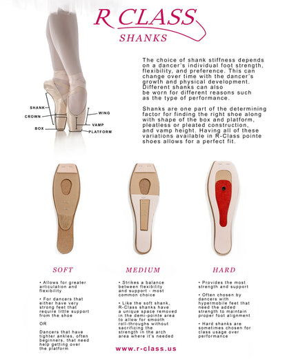 IRIDESCENCE RC40 Pointe Shoe by R Class